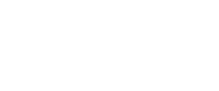 Foxteam Digital — IT-компанія
